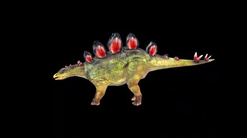 Wild Stegosaurus Look 2