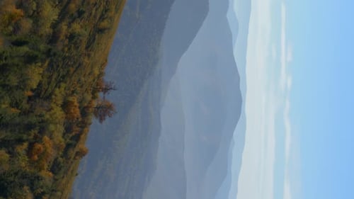 Vertical Video