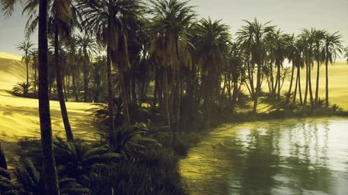Le bord apaisant de la rivière est inondé de rayons chauds et de délicates ondulations dans l'eau