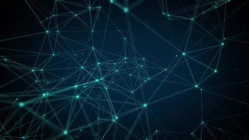 Digital Network Information Loop