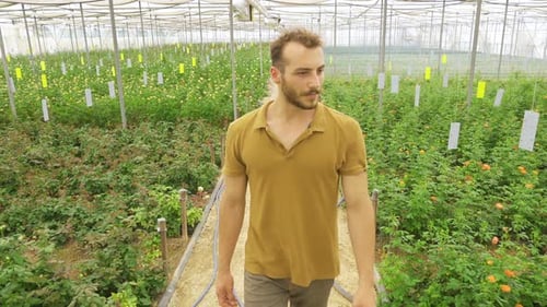 Man Walks Through Greenhouse Full of Plants and Flowers