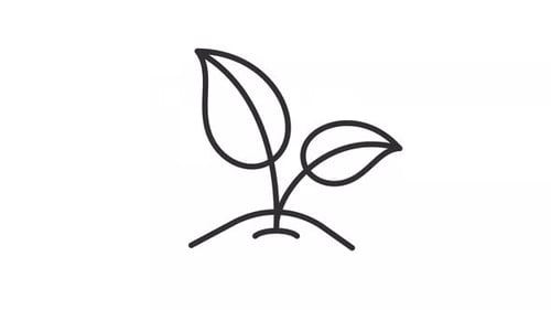 Animated young seedling line icon