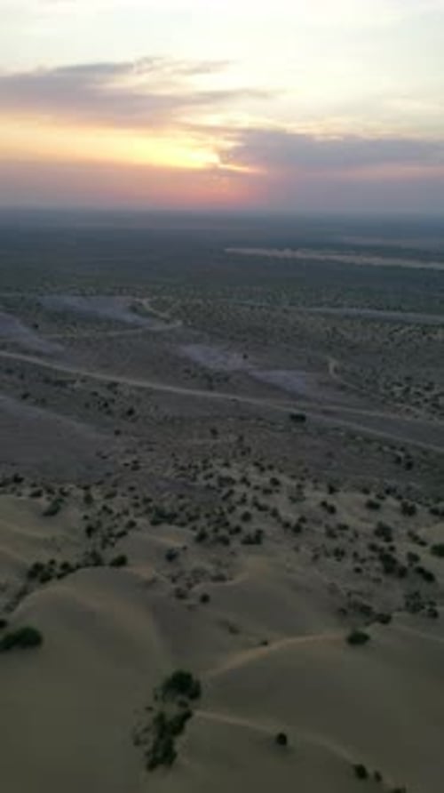 Vue aérienne de dessus des dunes de sable doré sans fin avec une végétation verte à Jaisalmer, Rajasthan
