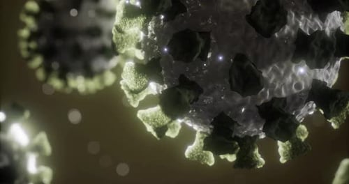 Exploring the Intricate Structure of a Virus Under Microscopic Observation