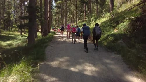 Childrens Mountain Hiking Trip
