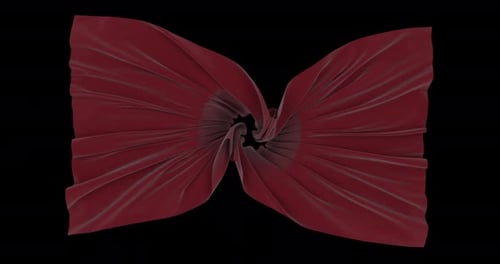 Smooth Red Fabric Reveal Transition