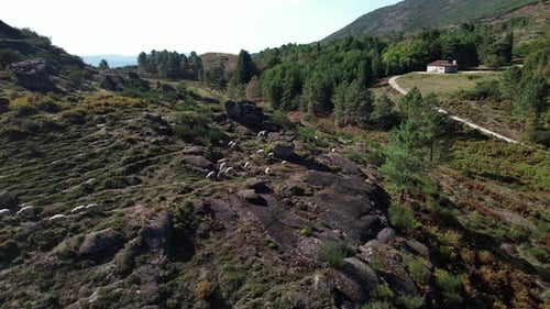 Natureza nas montanhas