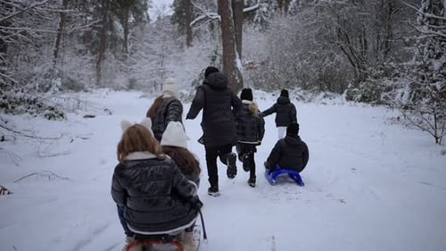 Family Enjoys Winter Walk Through Snowy Forest with Children on Sled