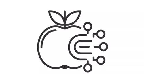 Internet of food line animation