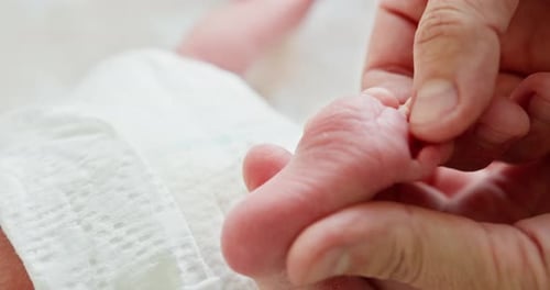 Adult Hand Holds Newborn Infant Foot