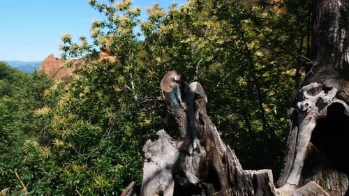 Scenic view of Las Médulas, Spain, landscape photography