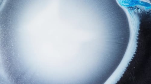 Alcohol ink bloom expanding in abstract fluid design with modern organic feel