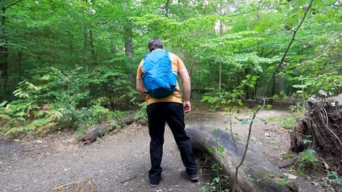 Tired and exhausted tourist sitting down on a fallen tree in the forest to take a break and relax