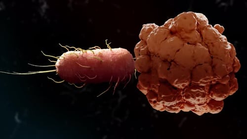 Animated 3D Microscopic Bacterium Interacting with Cell