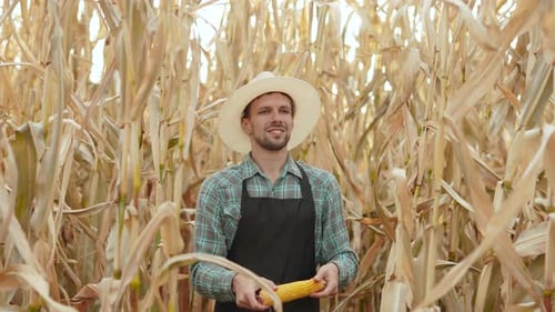 Cheerful Farmer Juggling Corn in Rural Field