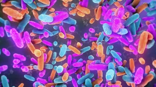 Abstract Microbes and Bacteria Floating in a Colorful Microscopic Environment