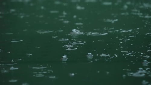 Slow motion of rain with splashes on wet asphalt surface.