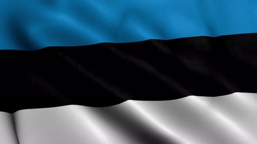 Estonia Flag Waving Loop with Realistic Fabric Texture
