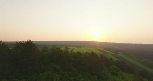 aerial view of sunrise over fields and pine forest