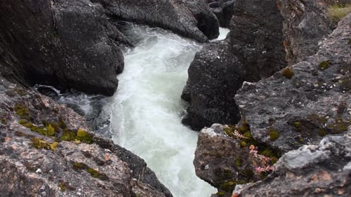 White foamy water stream rapidly flowing downstream through boulders