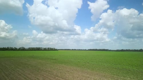 Green field aerial view in Ukraine