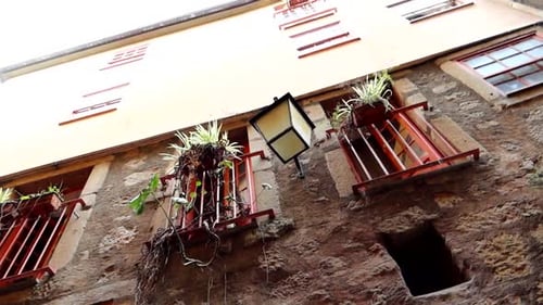 Hanging plants on balcony of old building in Rua de Santa Ana in Porto, Portugal