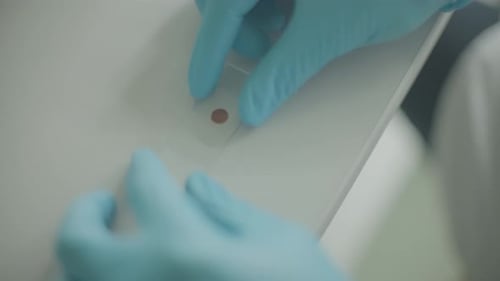 A microscope slide with an orange sample rests on a white lab table, close-up