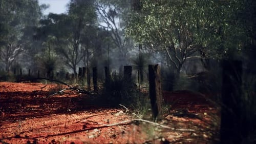 Rural Farm Boundary Fencing in Poor Condition and Long Dead Dry Grass