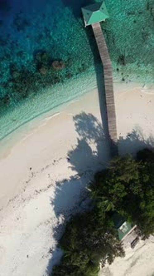 Paisaje marino tropical en un día soleado bajo el cielo azul