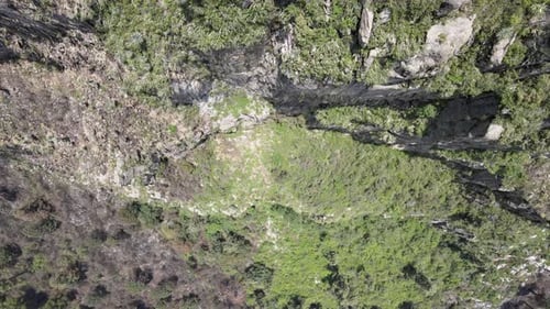 Jib down with tilt up above cliff in a sunny day. drone view