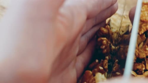The Woman Chops the Walnut