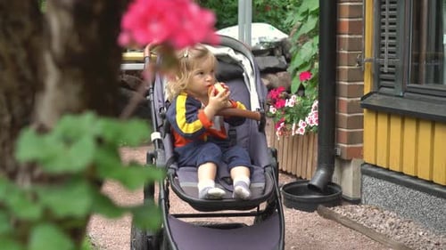 Child Eating an Apple in Stroller Outdoors