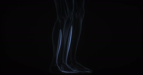 3D Scan of Human Legs with Glowing Calf Muscles
