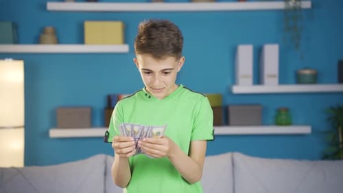 Joyful Boy Counting Cash in Living Room