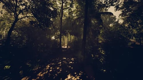 Tranquil Enchanted Grove with Muted Illumination and Reflective Atmosphere