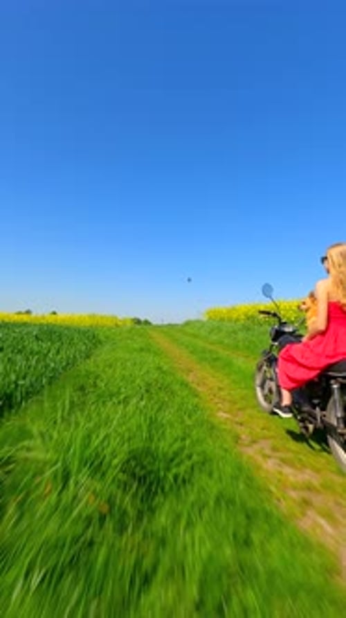 FPV of Woman in Red Dress and Dog Riding a Vintage Motorcycle in the Countryside