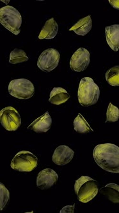 Vertical Floating Construction Helmets on Alpha