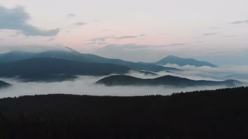 Aerial View. Flying over the pine forest In high mountains in beautiful clouds