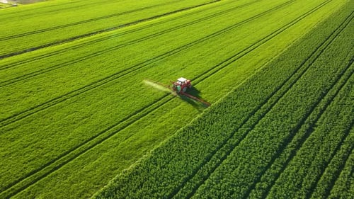 Farming Tractor Spraying on Field with Sprayer Herbicides and Pesticides at Sunset in Spring