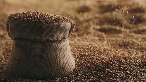 Burlap Sack of Grain with Falling Wheat