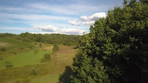 Top Down Aerial View of Green Summer Forest with Many Fresh Trees
