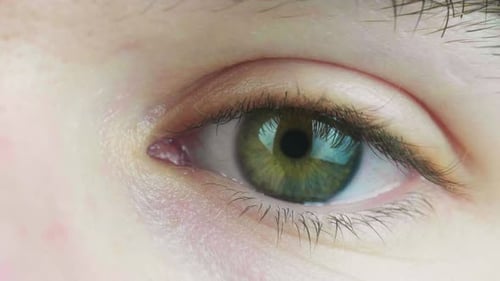 4K Cinematic slow motion macro shot of a green eye, with blue and brown flecks, opening and looking