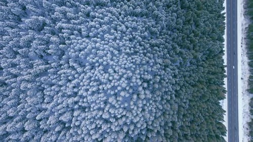 Aerial View Overlooking of Cars Driving By Road in Snow Covered Mountain Forest