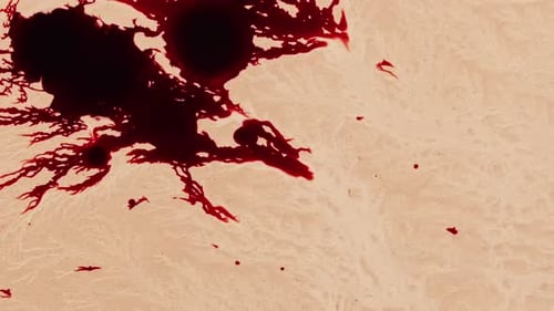 Dark Red Liquid Splashes on Tan Surface