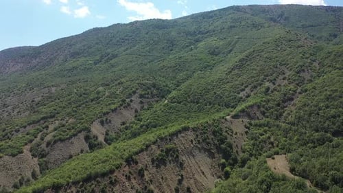 Aerial View Of Wooded Hills