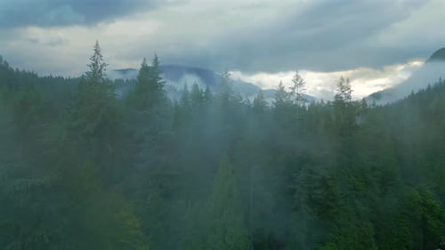 Aerial View of Beautiful Mountain Landscape Fog Rises Over the Mountain Slopes