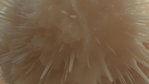 Pulsating Organic Crystal Spikes Abstract Background Animation