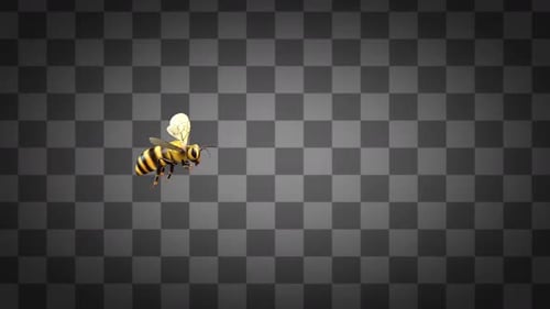 Bee Flying Side Angle Alpha Channels