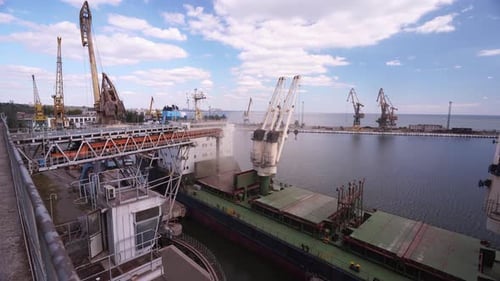 Wheat Loading to Bulker Ship Cargo Container at Sea Grain Terminal in Seaport Grain Shipment From