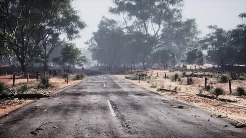 Clean Rural Road with Trees